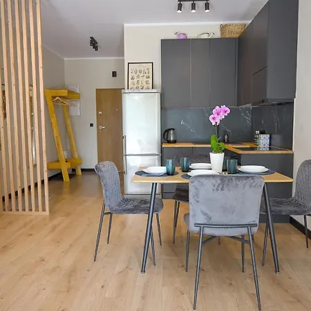 Praktyczny Apartament Z Cichym Tarasem Katowice Esterno foto